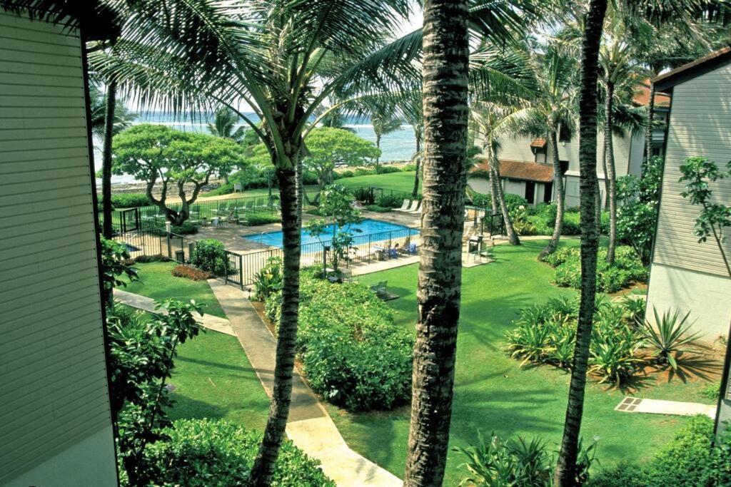 1Br Condo At Oceanfront Resort Kapaa Shore Kapa'a Dış mekan fotoğraf